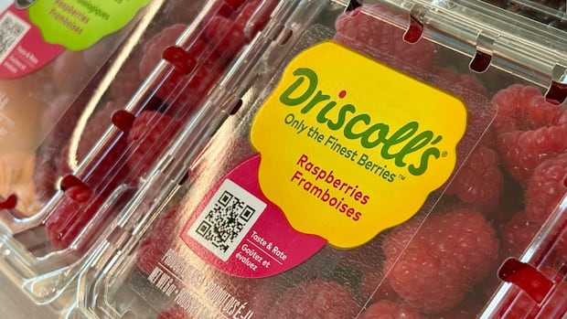 揭露：Driscoll’s草莓被指含超标农药，加拿大监管与消费者担忧食品安全