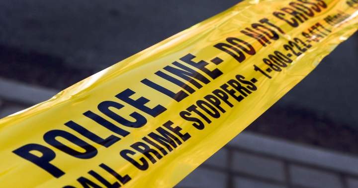 安省多地警方因匿名举报系统数据泄露暂停使用 Crime Stoppers 平台
