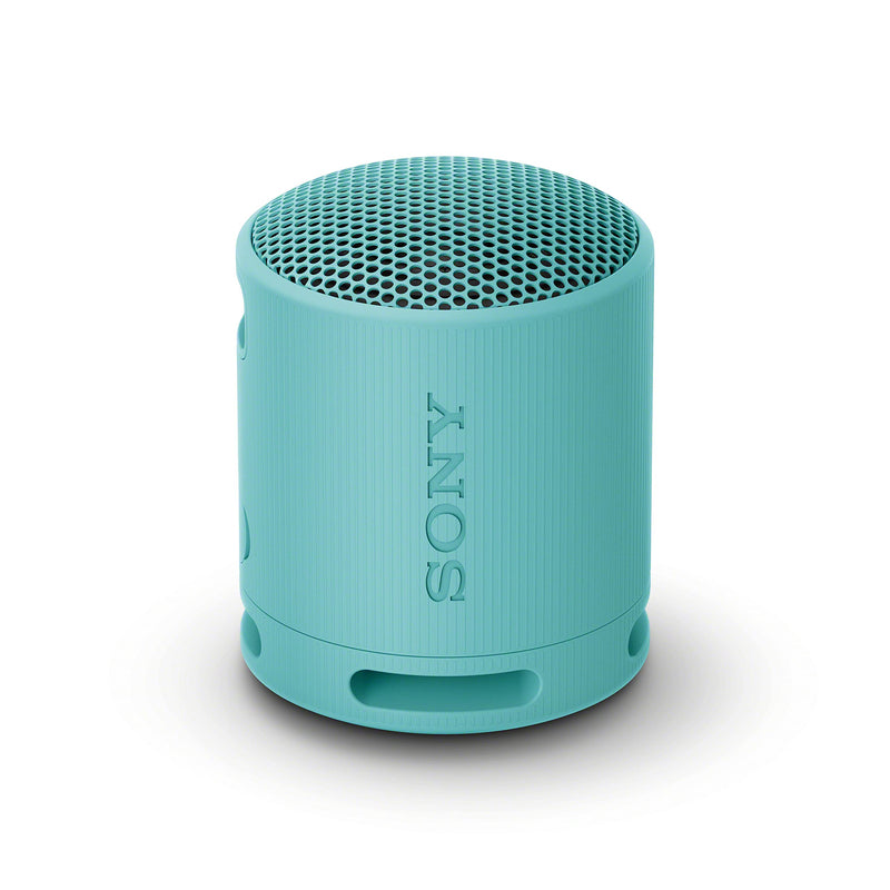Sony SRSXB100/L 蓝牙便携音箱