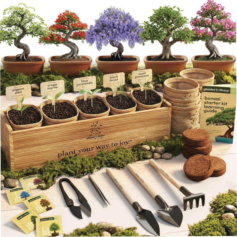 Planters' Choice 盆景树入门套件